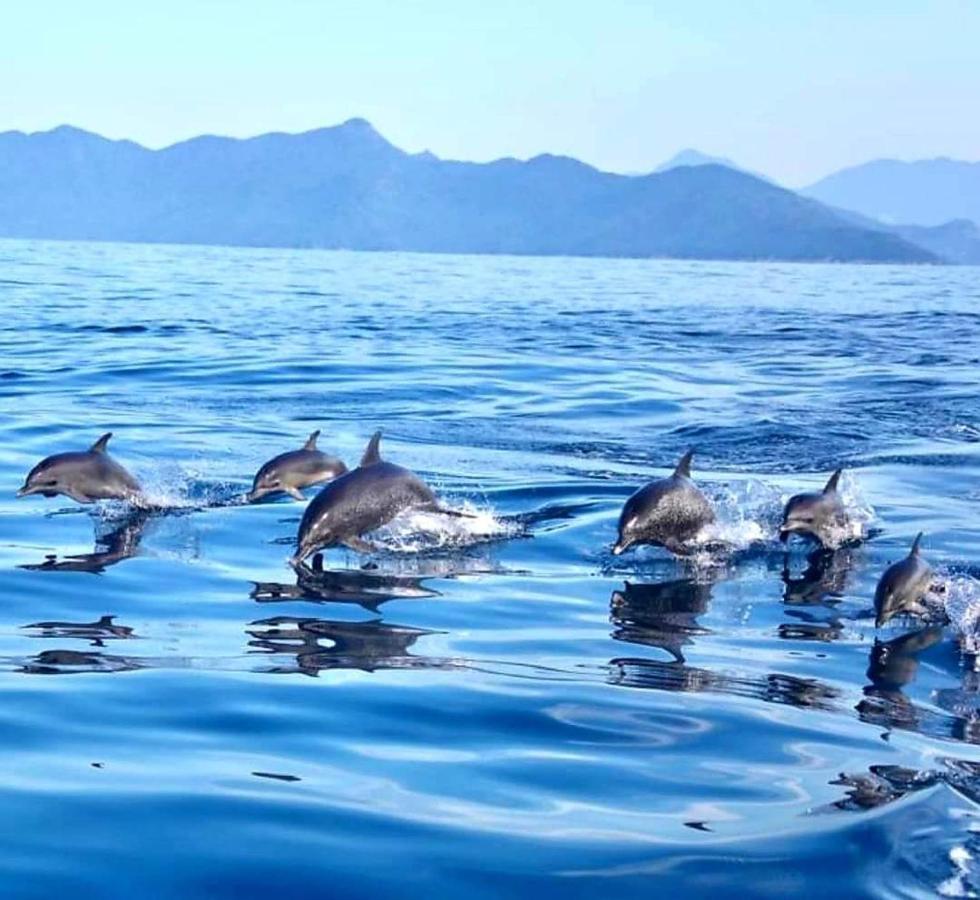 Pousada Costao Do Sol Angra dos Reis Exteriér fotografie