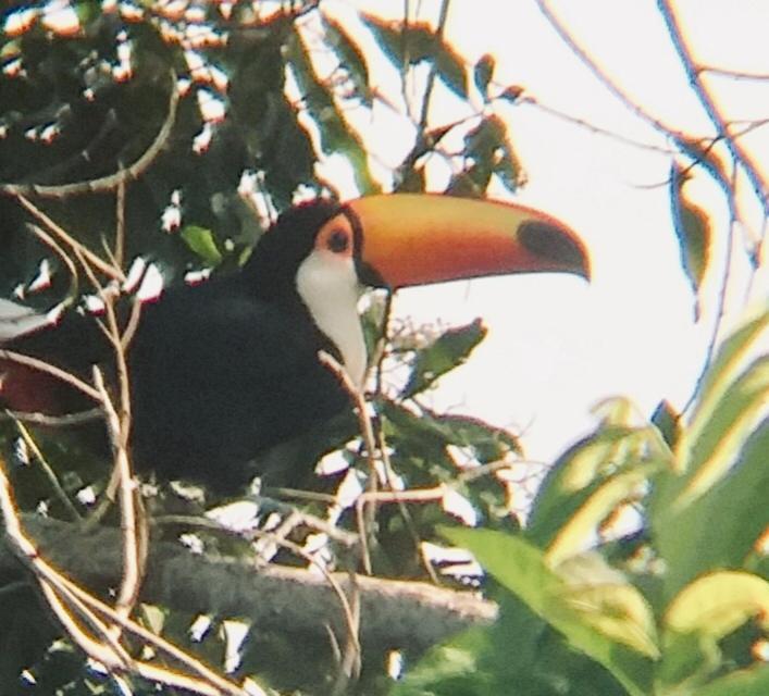 Pousada Costao Do Sol Angra dos Reis Exteriér fotografie